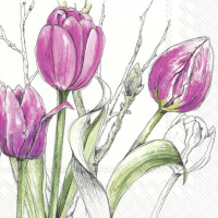 L Serviette Colourful Tulips pink